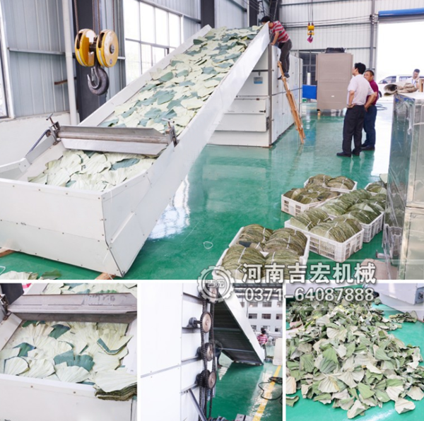 批把葉烘干機_小型銀杏葉烘干機價格_大型月桂葉烘干設(shè)備廠家
